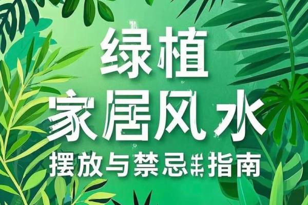 简单的风水改运,绿植摆放指南 简单的风水改运,绿植摆放指南