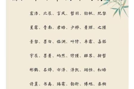 2019年处暑出生缺木男孩名字赏析姓名