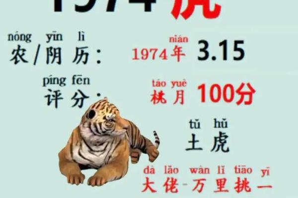 周公算命大全查询免费测试 周公算命大全查询免费测试