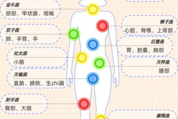 十二星座适合打什么位置 十二星座适合打什么位置