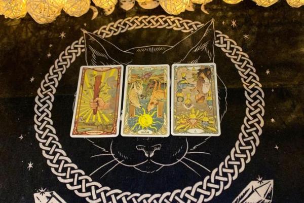 塔罗牌星座感情运势陶白白巨蟹 塔罗牌星座感情运势陶白白巨蟹