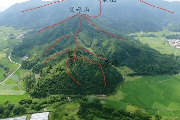 祖坟的风水_是一个家庭更好的风水你认同这句话吗 祖坟的风水_是一个家庭更好的风水你认同这句话吗