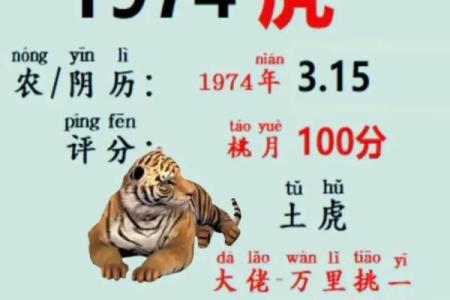 周公算命大全查询免费测试