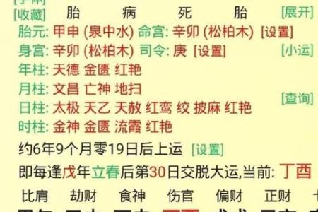 八字排盘详解，丁卯戊申乙卯乙酉命理解析