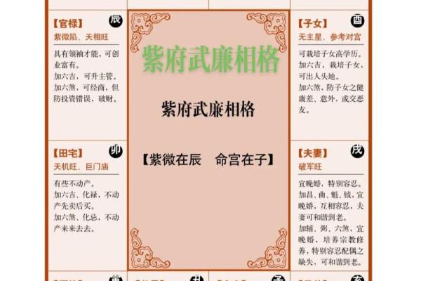 紫薇斗数子斗戌