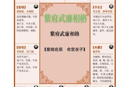 紫薇斗数子斗戌