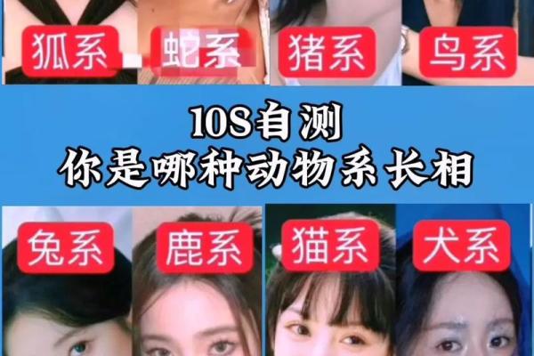 根据名字测试你是什么动物  本命动物测试
