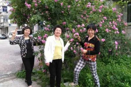 丹东算命比较准的地方