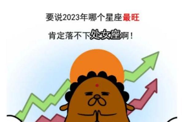2023年处女座每月运势完整版 2023处女座每月运势完整版全年运程超全解析 2023年处女座每月运势完整版 2023处女座每月运势完整版全年运程超全解析