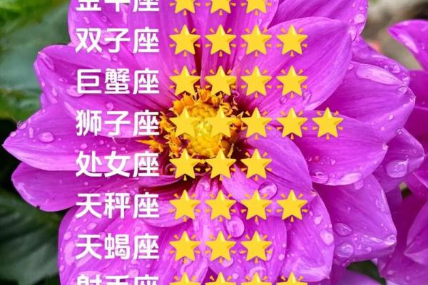 白羊今日运势座星座_白羊座今日运势  第一星座