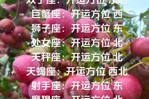 白羊座今日运势幸运方位(白羊座今日运势今日宜忌)