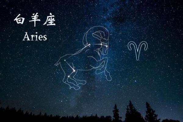 2025年4月5日白羊座今日运势第一星座网(白羊座2025年的整体运势)