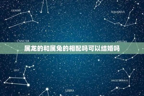 百度星座运势龙男和兔女