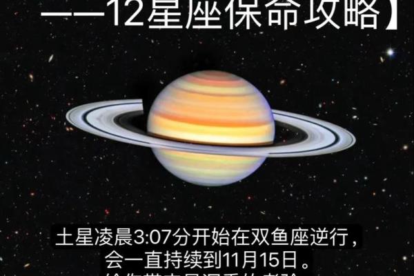 生日命运：十一月十五号是什么星座？