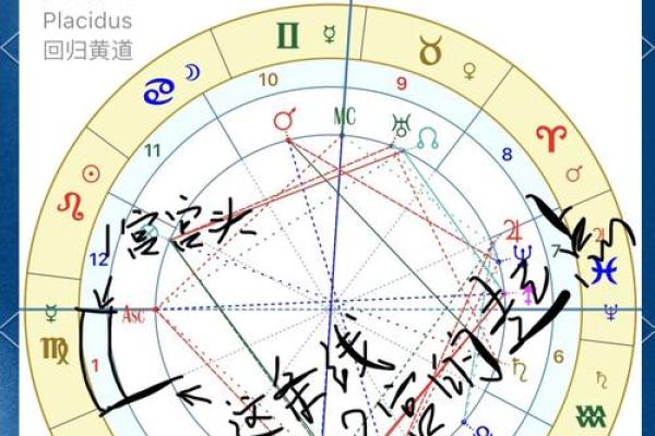 9月9日出生的星座是哪一个宫位