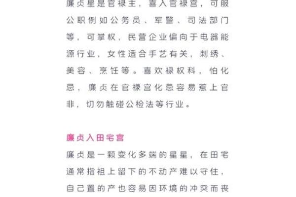 最像廉贞星的星座男生是谁呀视频