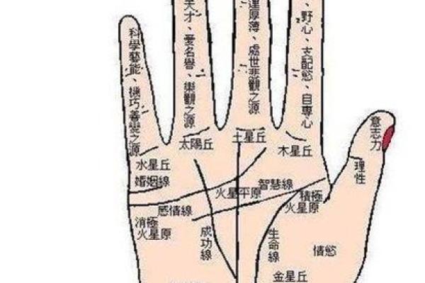 未成年学算命有什么危害