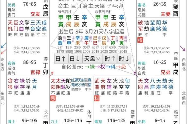 斗数紫薇阁