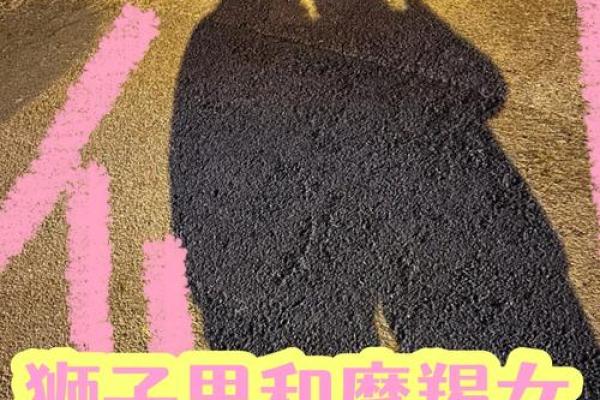狮子女最容易被哪种男人撩 狮子女最容易被哪个男星座吸引