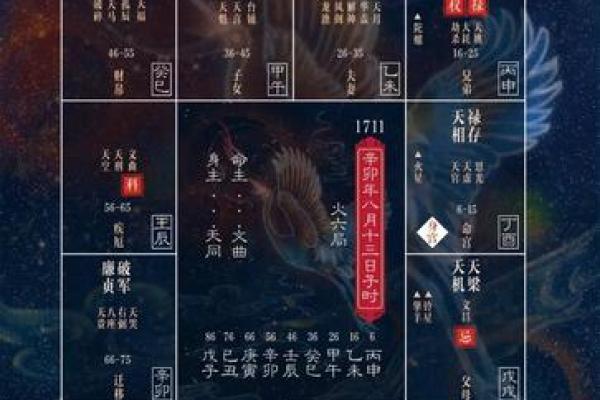 紫薇斗数看身高体型