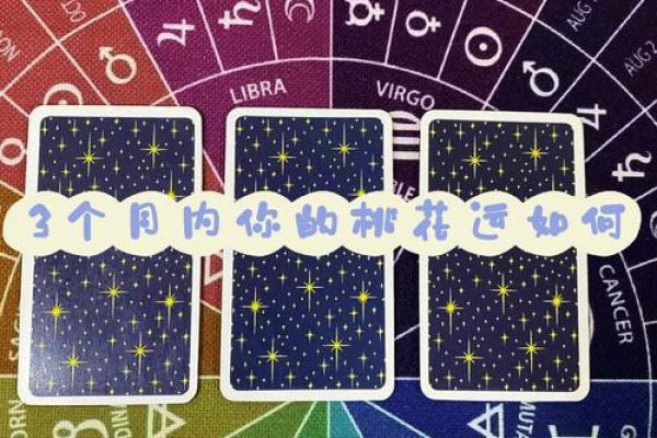 塔罗测试：下半年的桃花运如何？