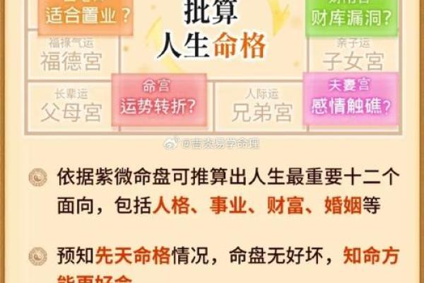 八字事业职业分析，揭示命运奥秘