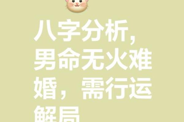 男命旺妻的八字特征 男命旺妻八字特征是什么 男命旺妻的八字特征 男命旺妻八字特征是什么