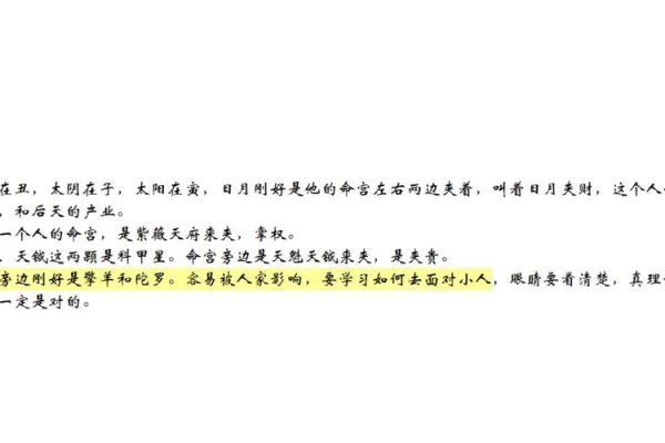 紫薇斗数小人