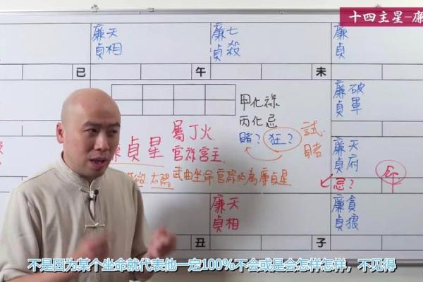 紫微斗数之事业宫与诸星，廉贞星在事业宫是什么意思？