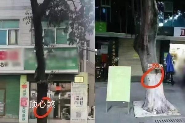 这6种门店风水最败财做生意要注意
