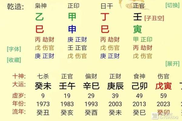 八字巳申