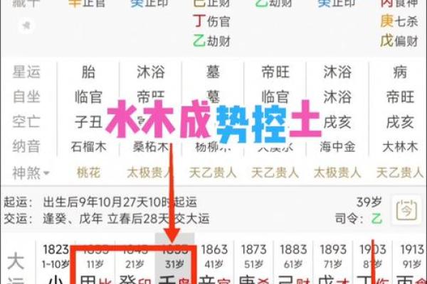八字实例解析应该如何正确读取