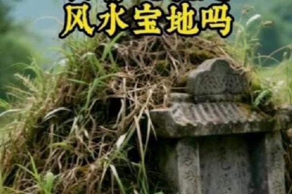 传说中的风水祖坟故事都有哪些 传说中的风水祖坟故事都有哪些