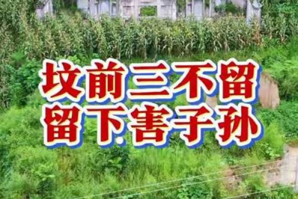 传说中的风水祖坟故事都有哪些 传说中的风水祖坟故事都有哪些