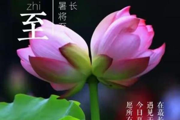 2024年夏至出生的孩子八字解析 一生运程如何