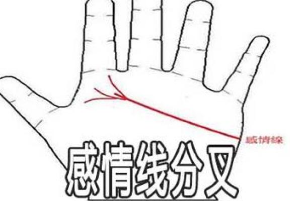 男士手相算命图解法 男人感情线的末端分叉异性缘好 男士手相算命图解法 男人感情线的末端分叉异性缘好