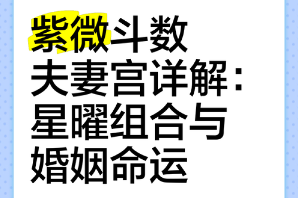 紫薇斗数夫妻宫凤阁 紫薇斗数夫妻宫凤阁