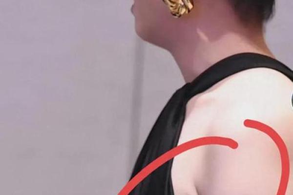 宋佳八字奶