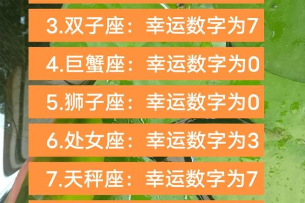 中大奖的星座运势