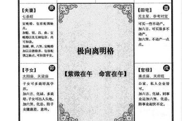 紫薇斗数子午宫