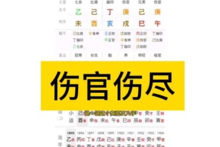 伤官合杀美女八字
