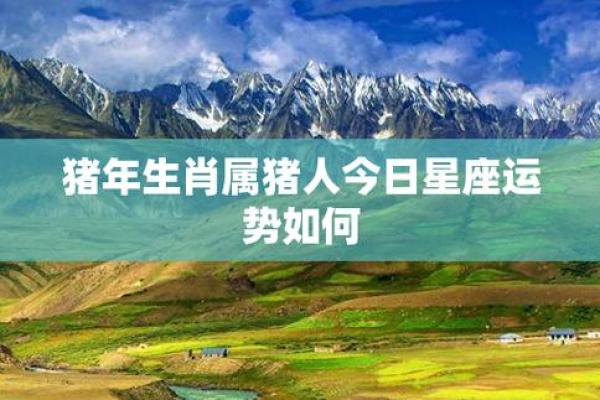猪年出生的人属于哪个星座