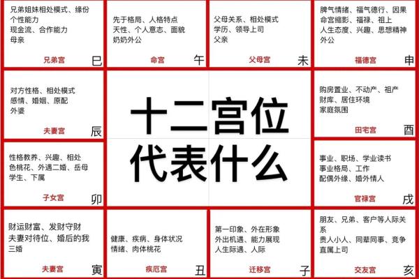 紫薇斗数各星相