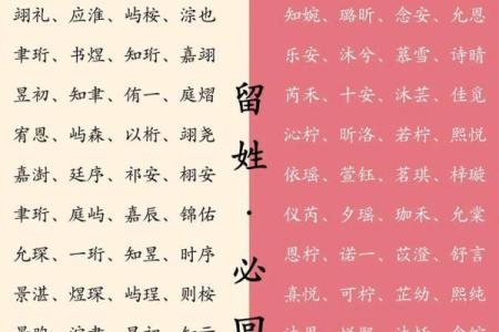 属猪丑时出生的男孩如何起名，适合什么字姓名