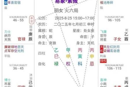 紫微斗数诸星落诸宫之：破军星兄弟宫详解