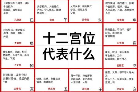 紫薇斗数各星相