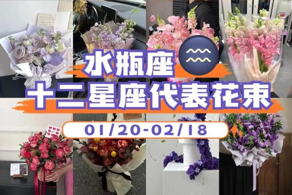十二星座什么花适合自己