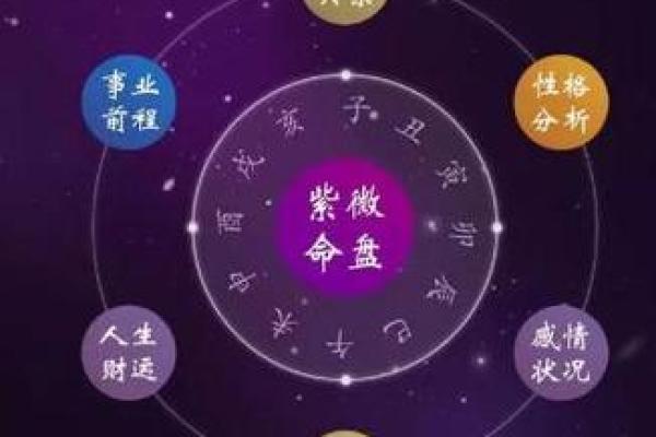 紫薇斗数双色球