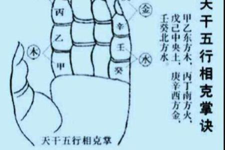 手指算命,手指掐算算命图解