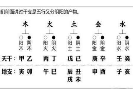 八字中的未土是什么？